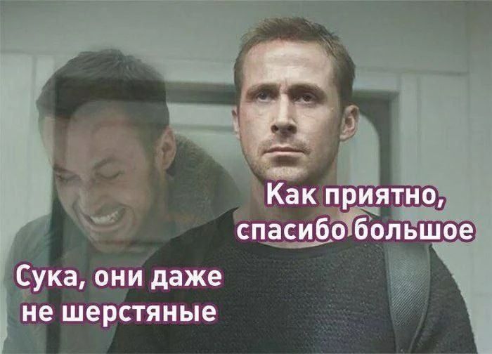 Сука, они даже не шерстяные
Как приятно, спасибо большое