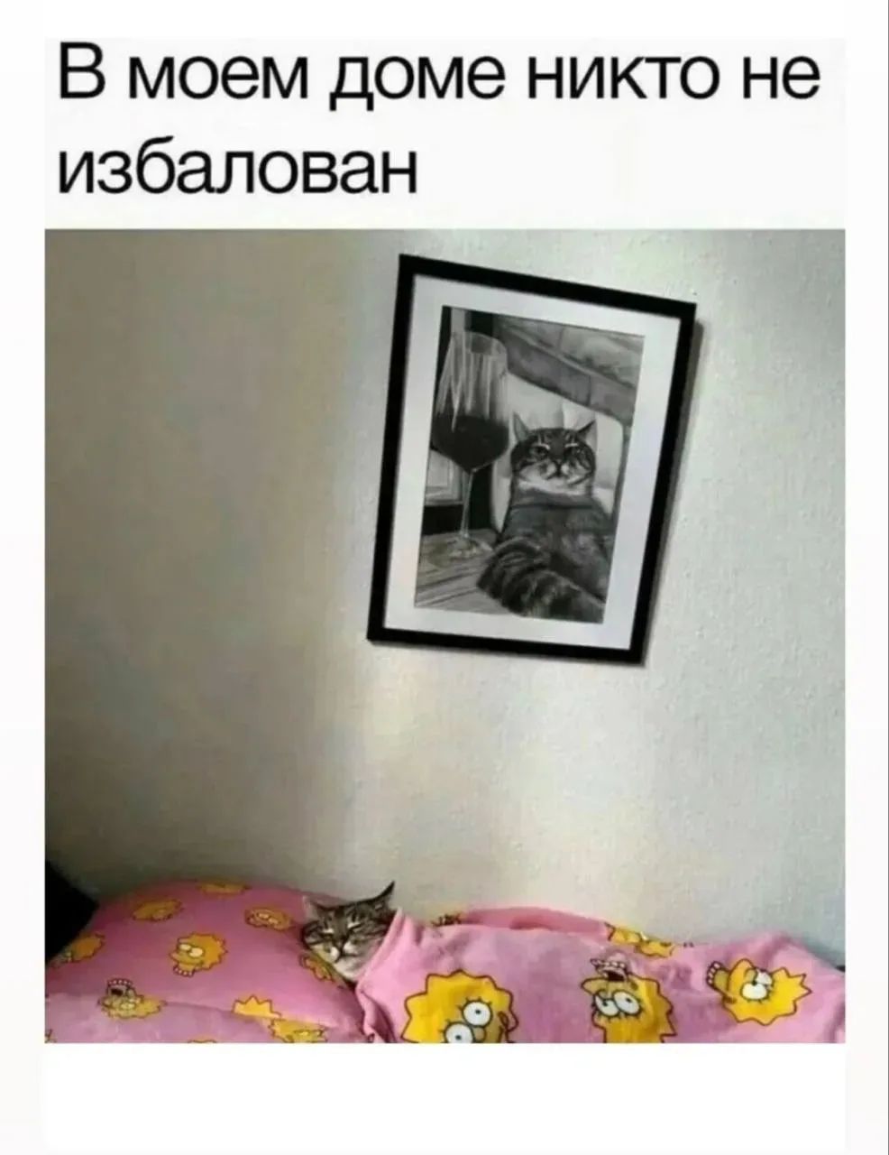 В моем доме никто не избалован