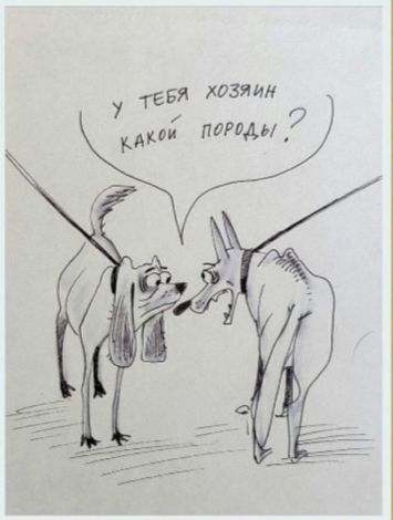 У ТЕБЯ ХОЗЯИН КАКОЙ ПОРОДЫ?