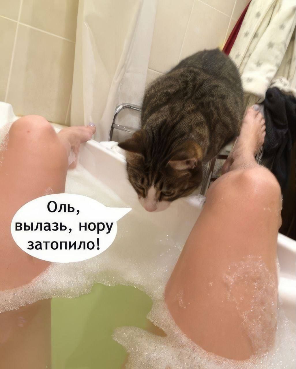 Оль, вылазь, нору затопило!