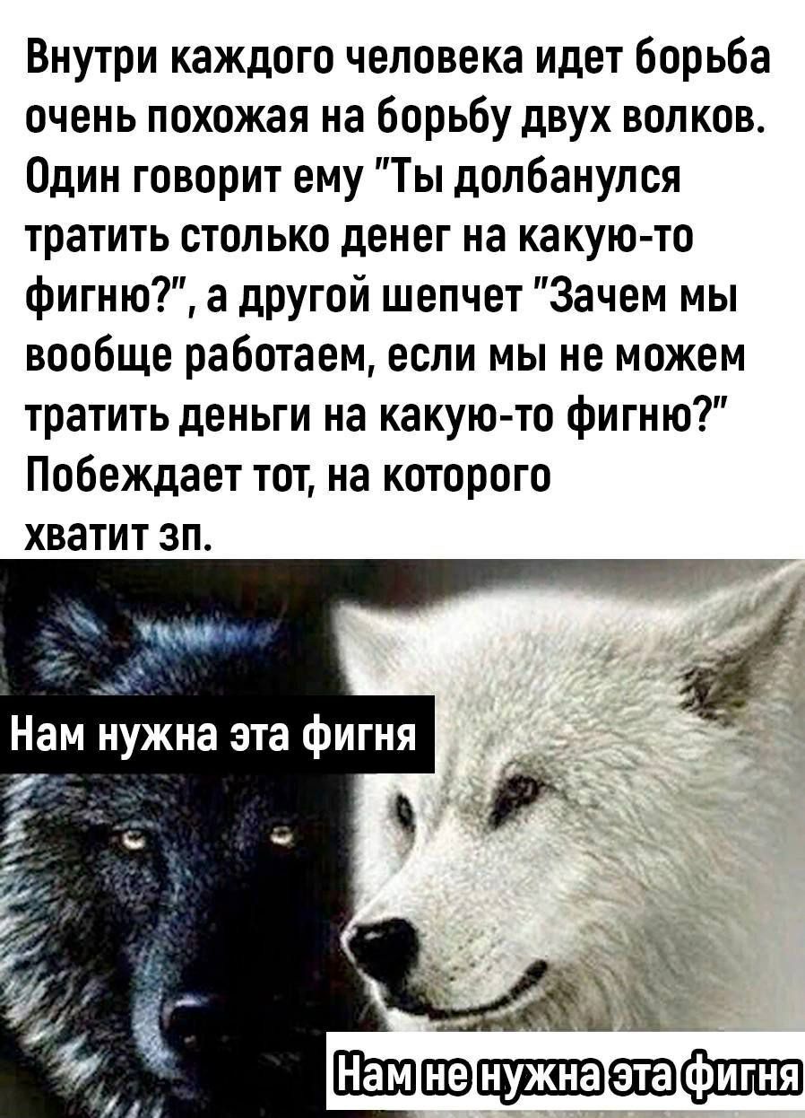 Внутри каждого человека идет борьба очень похожая на борьбу двух волков Один говорит ему Ты долбанулся тратить столько денег на какую то фигню а другой шепчет Зачем мы вообще работаем если мы не можем тратить деньги на какую то фигню Побеждает тот на которого хватит зп Нам нужна эта фигня а