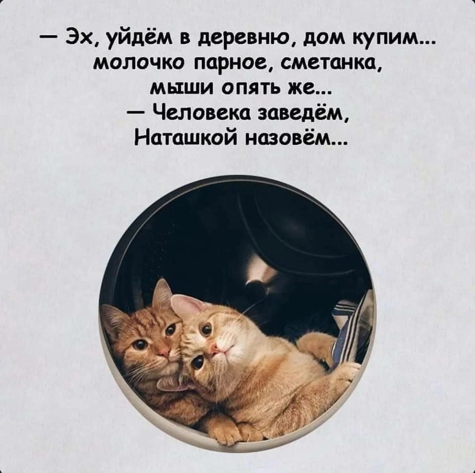 Эх уйдём в деревню дом купим молочко парное сметанка мыши опять же Человека заведём Наташкой назовём