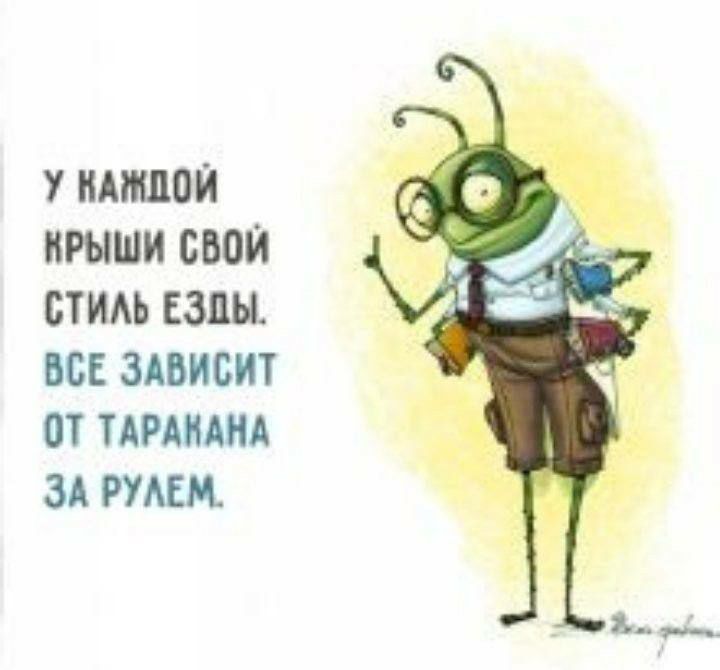У КАЖДОЙ НРЫШИ СВОЙ СТИЛЬ ЕЗДЫ ВСЕ ЗАВИСИТ ОТ ТАРАНАНА ЗА РУЛЕМ