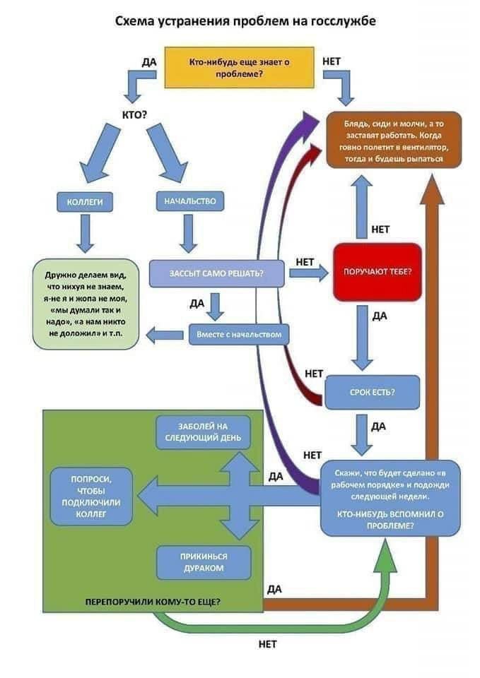 Схема устранения проблем на госслужбе