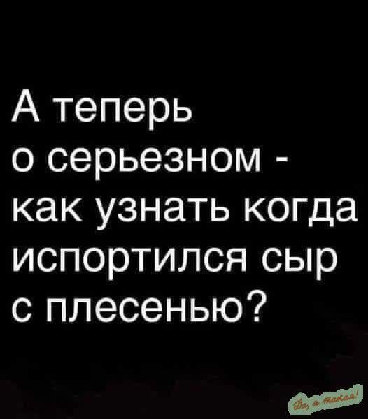 А теперь о серьезном как узнать когда испортился сыр с плесенью Унее