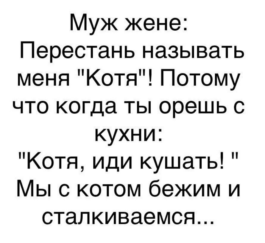 Муж жене Перестань называть меня Котя Потому что когда ты орешь с кухни Котя иди кушать Мы с котом бежим и сталкиваемся