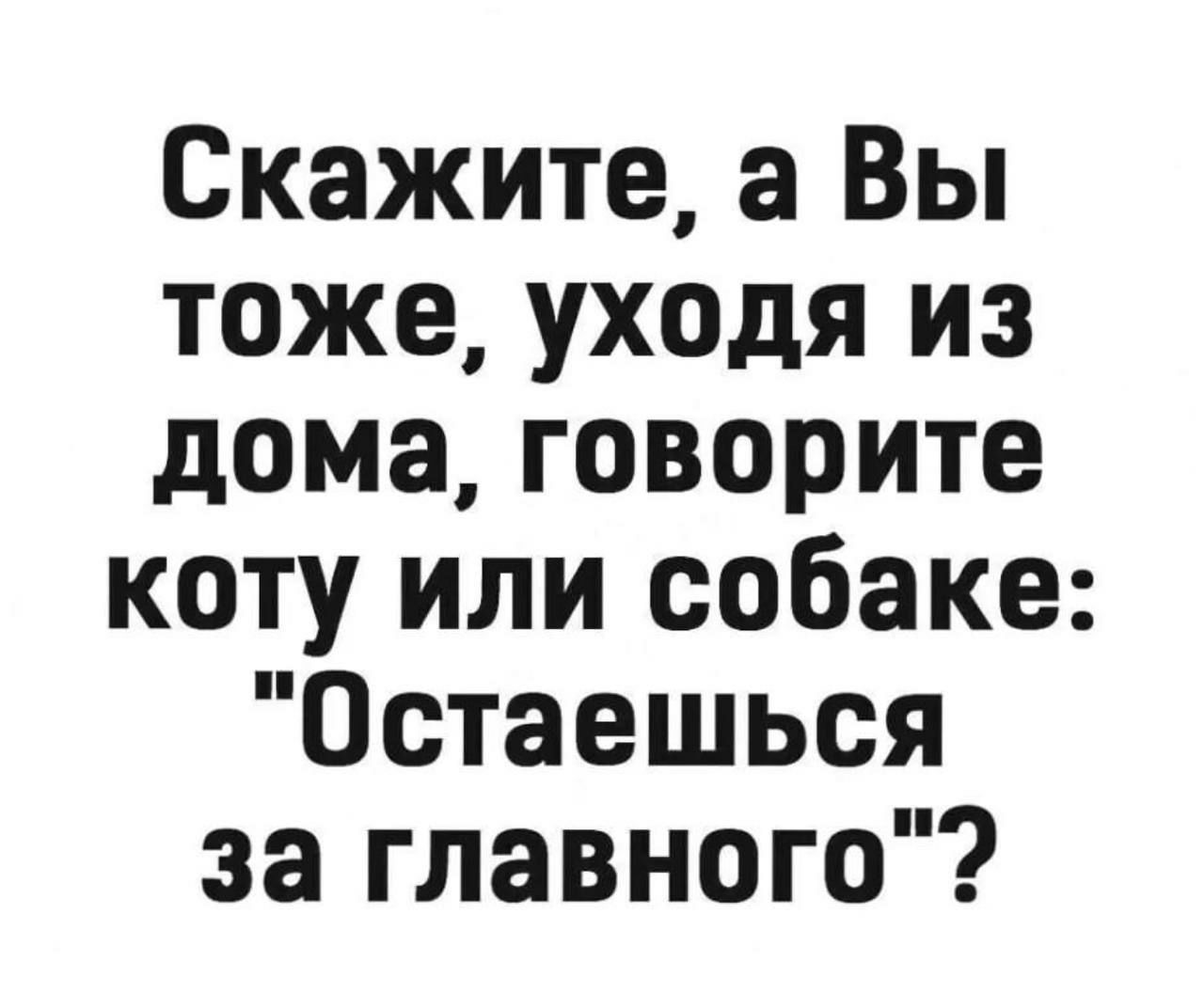 Скажите а Вы тоже уходя из дома говорите коту или собаке Остаешься за главного