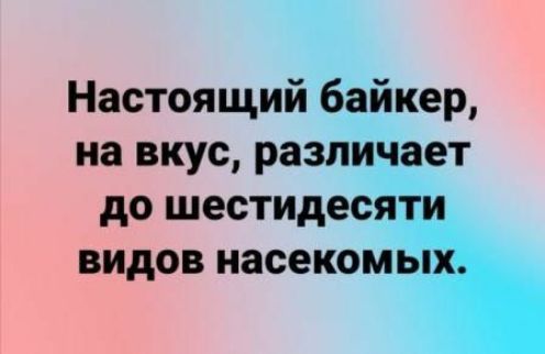 Настоящий байкер на вкус различает до шестидесяти видов насекомых