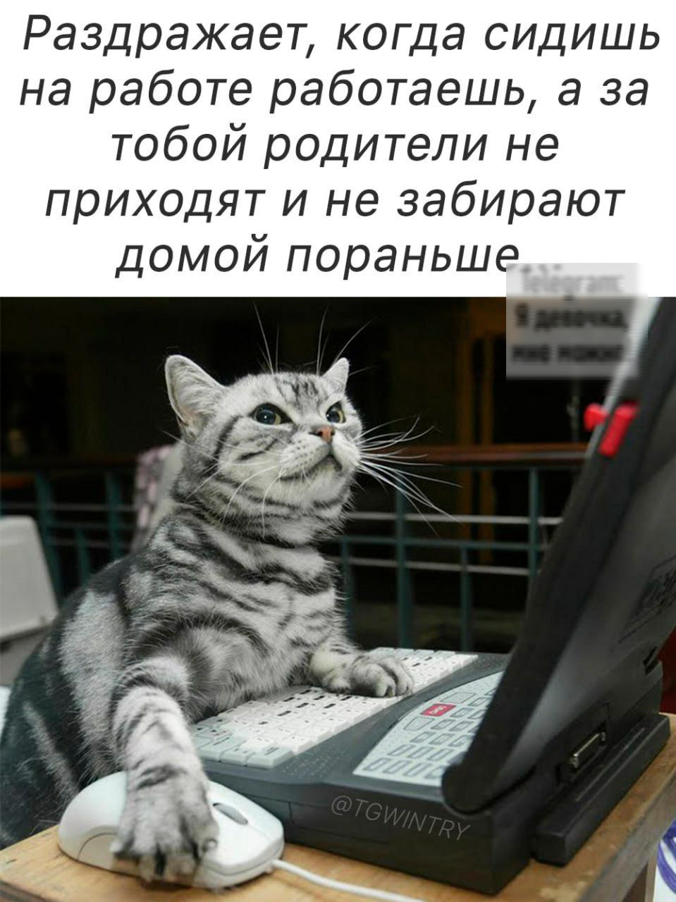 Раздражает когда сидишь на работе работаешь а за тобой родители не приходят и не забирают домой пораньше