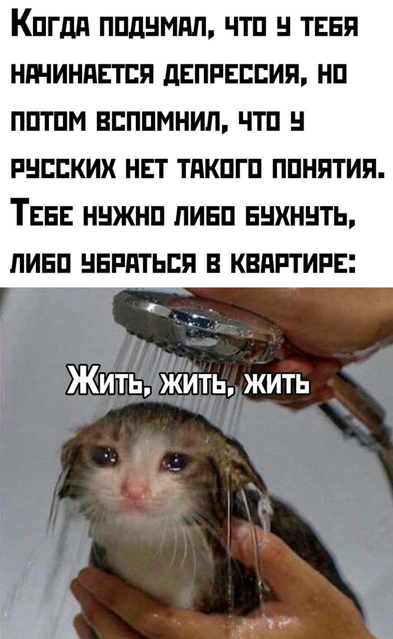 Когдя подчмал чТо Ч ТЕБЯ НАЧИНАЕТСЯ ДЕПРЕССИЯ НО ПОТОМ ВСПОМНИЛ ЧТо У РУССКИХ НЕТ ТАКОГО ПОНЯТИЯ ТЕБЕ НУЖНО ЛИБО БУХНУТЬ ЛИБО ЧБРАТЬСЯ В КВАРТИРЕ ЖИтЬ ЖИТЬЖИТЬ зО У са Ка