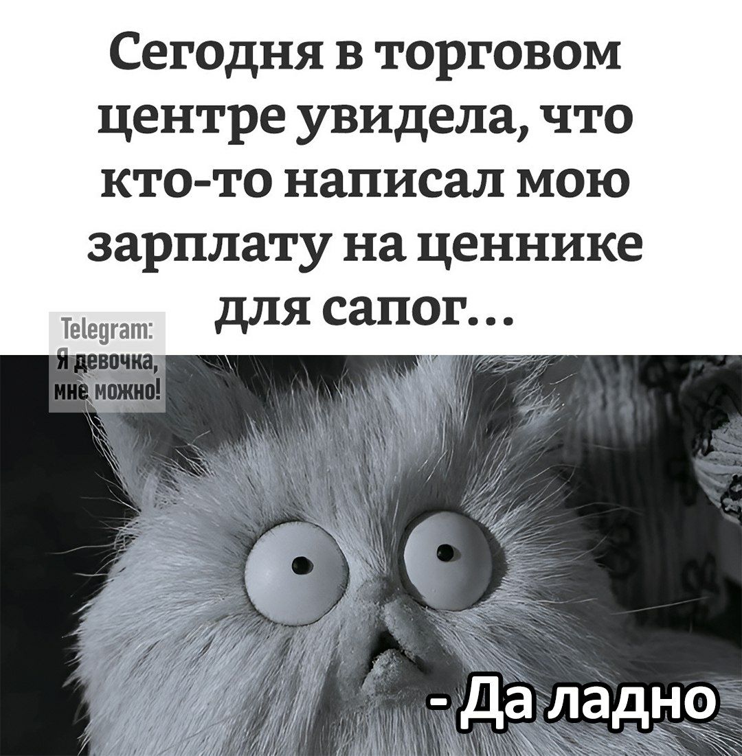 Сегодня в торговом центре увидела что кто то написал мою зарплату на ценнике для сапог тецгатс НО Да ладно Зьа оо