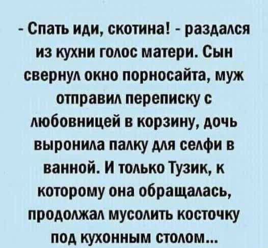 Спать иди скотина раздался из кухни голос матери Сын свернул окно порносайта муж отправил переписку с любовницей в корзину дочь выронила палку для селфи в ванной И только Тузик к которому она обращалась продолжал мусолить косточку под кухонным столом