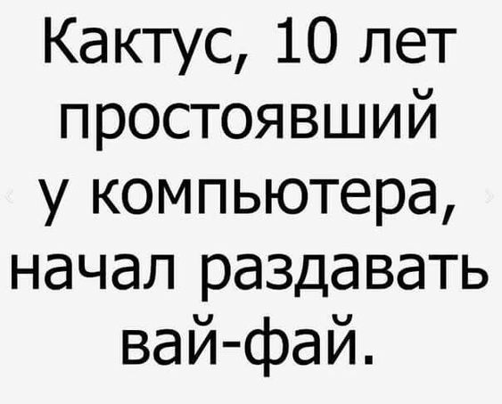 Кактус 10 лет простоявший у компьютера начал раздавать вай фай