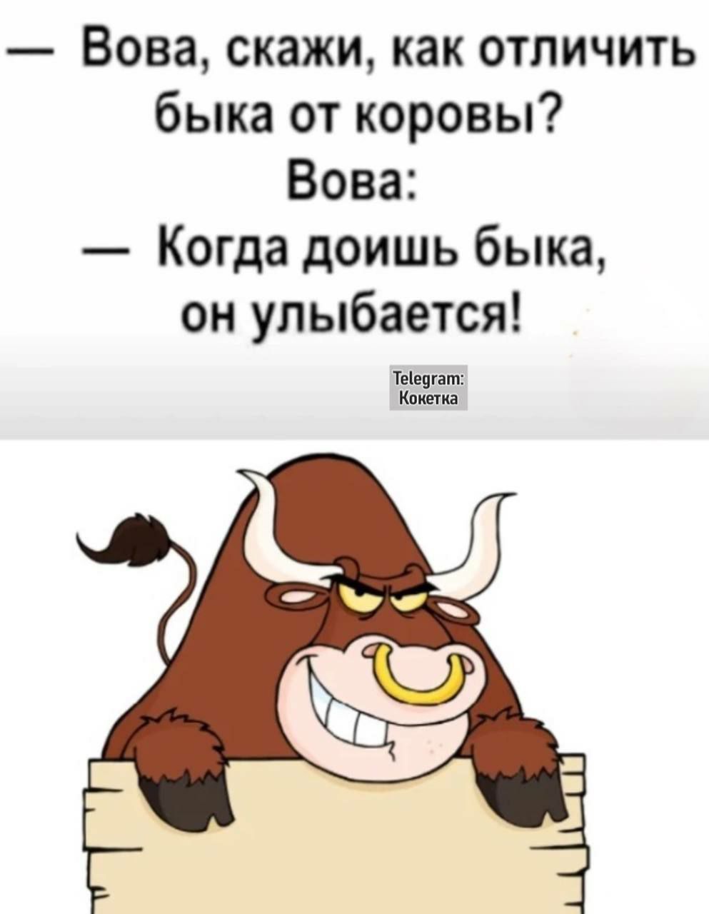 Вова скажи как отличить быка от коровы Вова Когда доишь быка он улыбается теедат Конетка