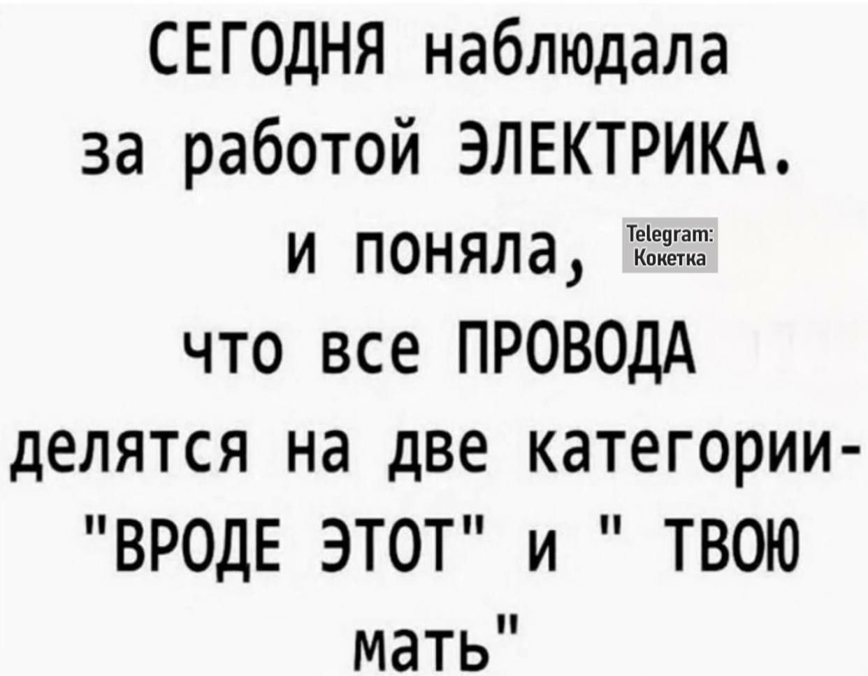 СЕГОДНЯ наблюдала за работой ЭЛЕКТРИКА и поняла 7 что все ПРОВОДА делятся на две категории ВРОДЕ ЭТОТ и ТВОЮ мать