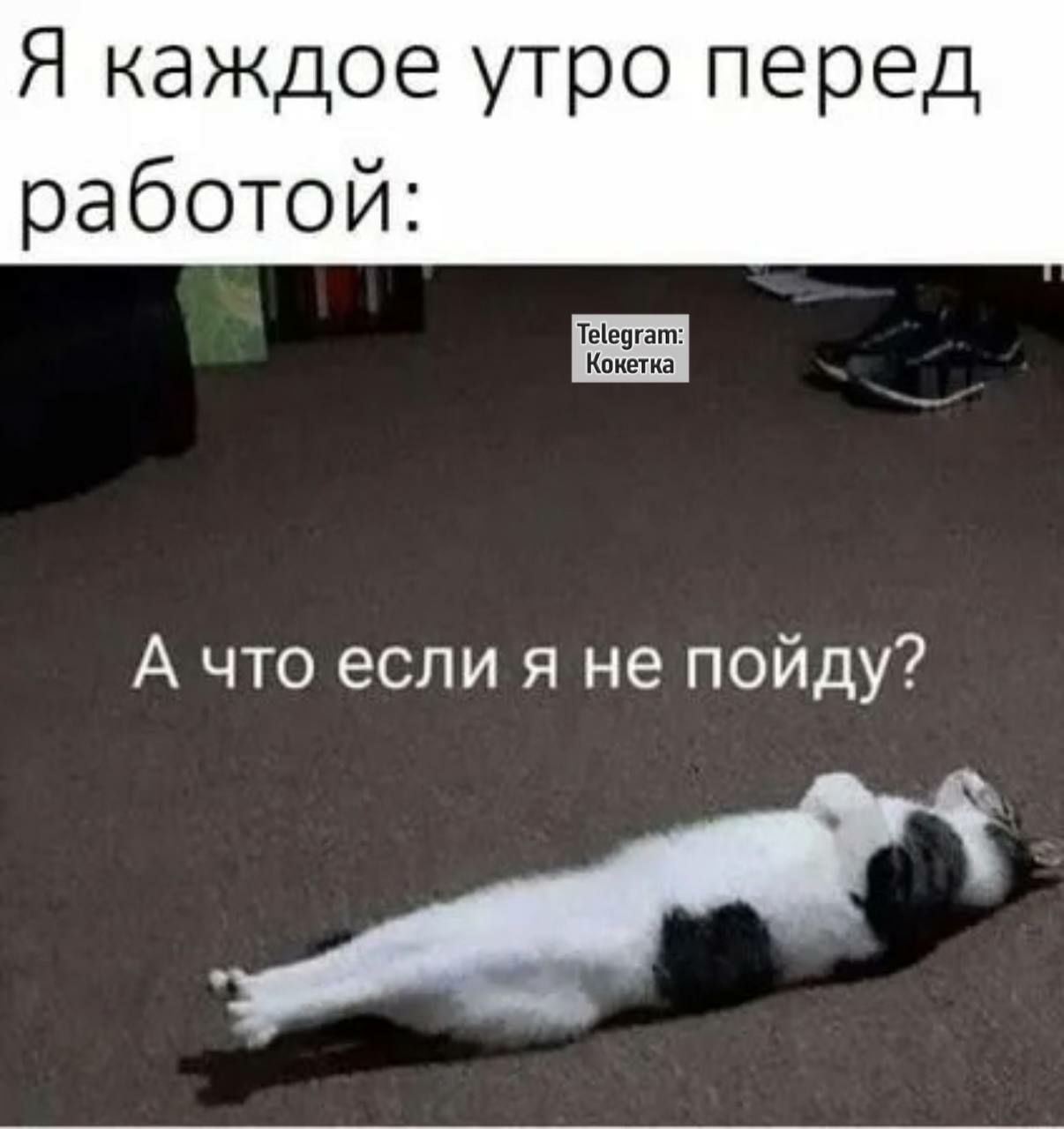 Я каждое утро перед работой Гга Кокетка А что если я не пойду