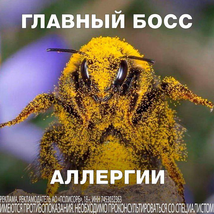 ГЛАВНЫЙ БОСС АЛЛЕРГИИ