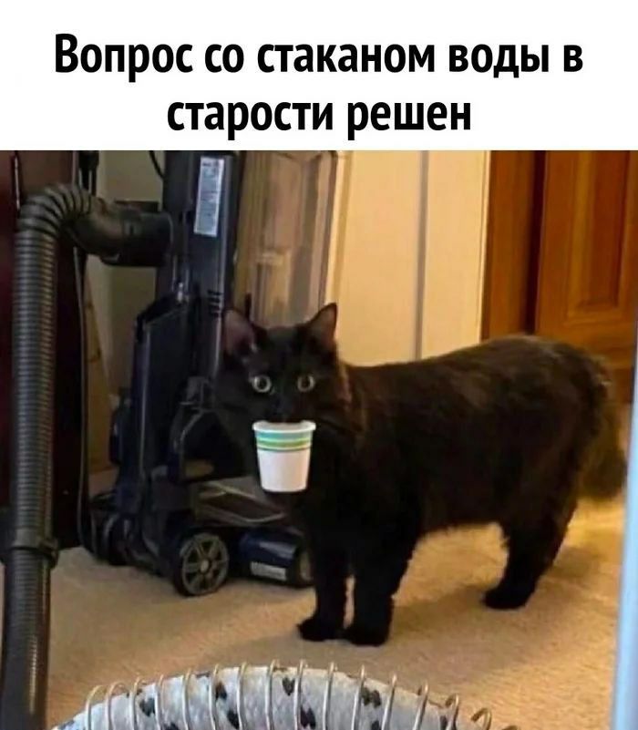 Вопрос со стаканом воды в старости решен