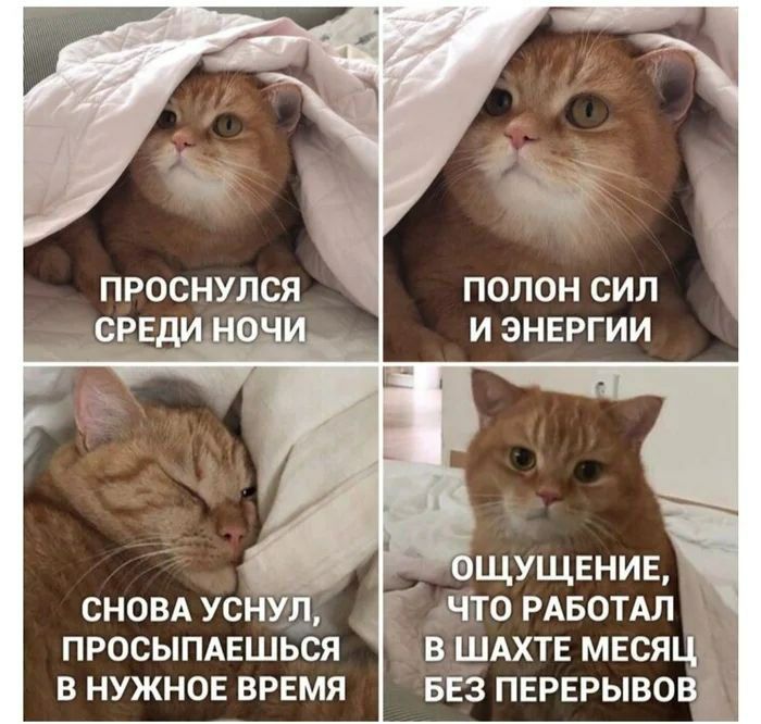 ПРОСНУЛСЯ СРЕДИ НОЧИ
ПОЛОН СИЛ И ЭНЕРГИИ
СНОВА УСНУЛ, ПРОСЫПАЕШЬСЯ В НУЖНОЕ ВРЕМЯ
ОЩУЩЕНИЕ, ЧТО РАБОТАЛ В ШАХТЕ МЕСЯЦ БЕЗ ПЕРЕРЫВОВ