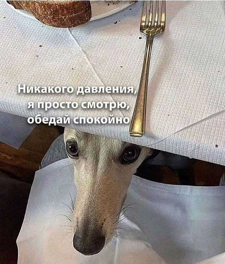 Никакого давления, я просто смотрю, обедай спокойно