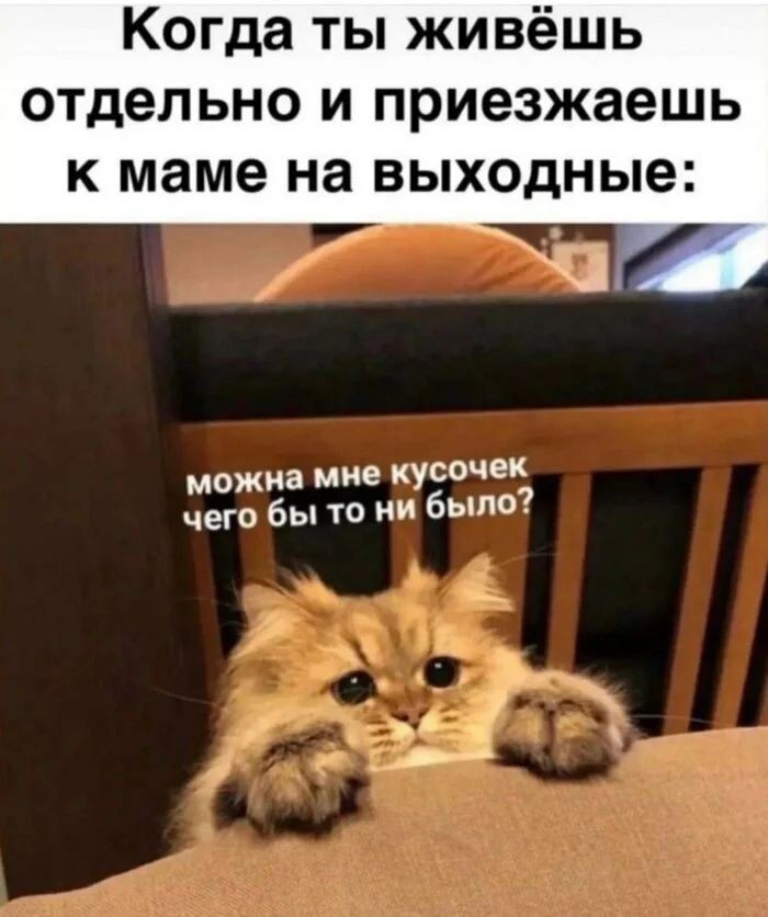 Когда ты живёшь отдельно и приезжаешь к маме на выходные:
можно мне кусочек чего бы то ни было?
