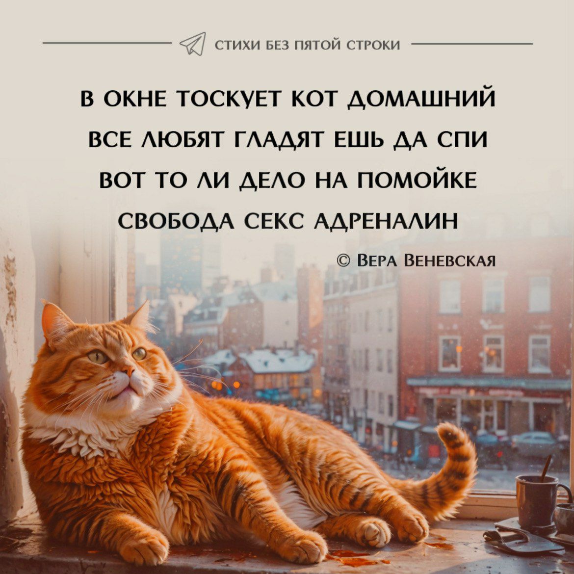В окне тоскует кот домашний все любят гладят aún да спи вот то ли дело на помойке свобода секс адреналин
© Вера Веневская