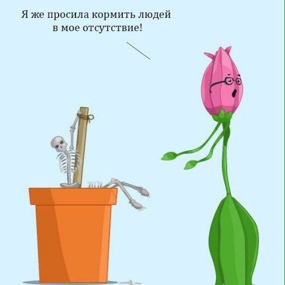Я же просила кормить людей в мое отсутствие!