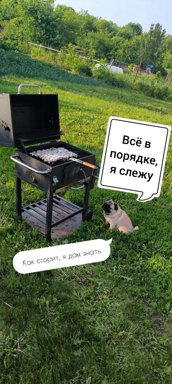 Всё в порядке, я слежу
Как сгрит, я дам знать