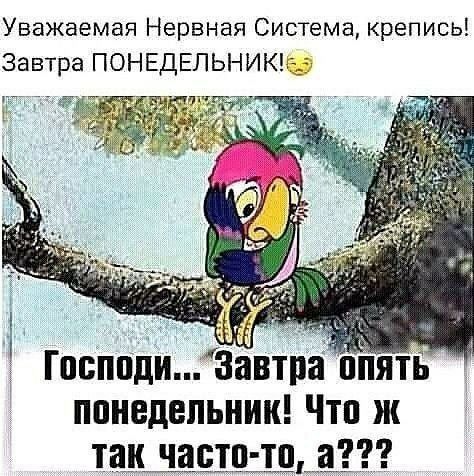 Уважаемая Нервная Система, крепись! Завтра ПОНЕДЕЛЬНИК! 😩
Господи... Завтра опять понедельник! Что ж так часто-то, а???
