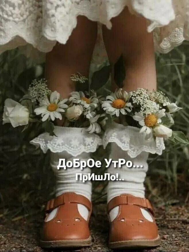 Доброе Утро... Пришло..! 