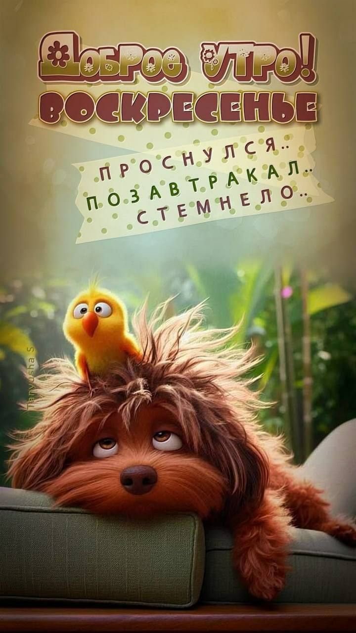 Доброе утро! Воскресенье  Проснулся. Позавтракал. Стемнело.