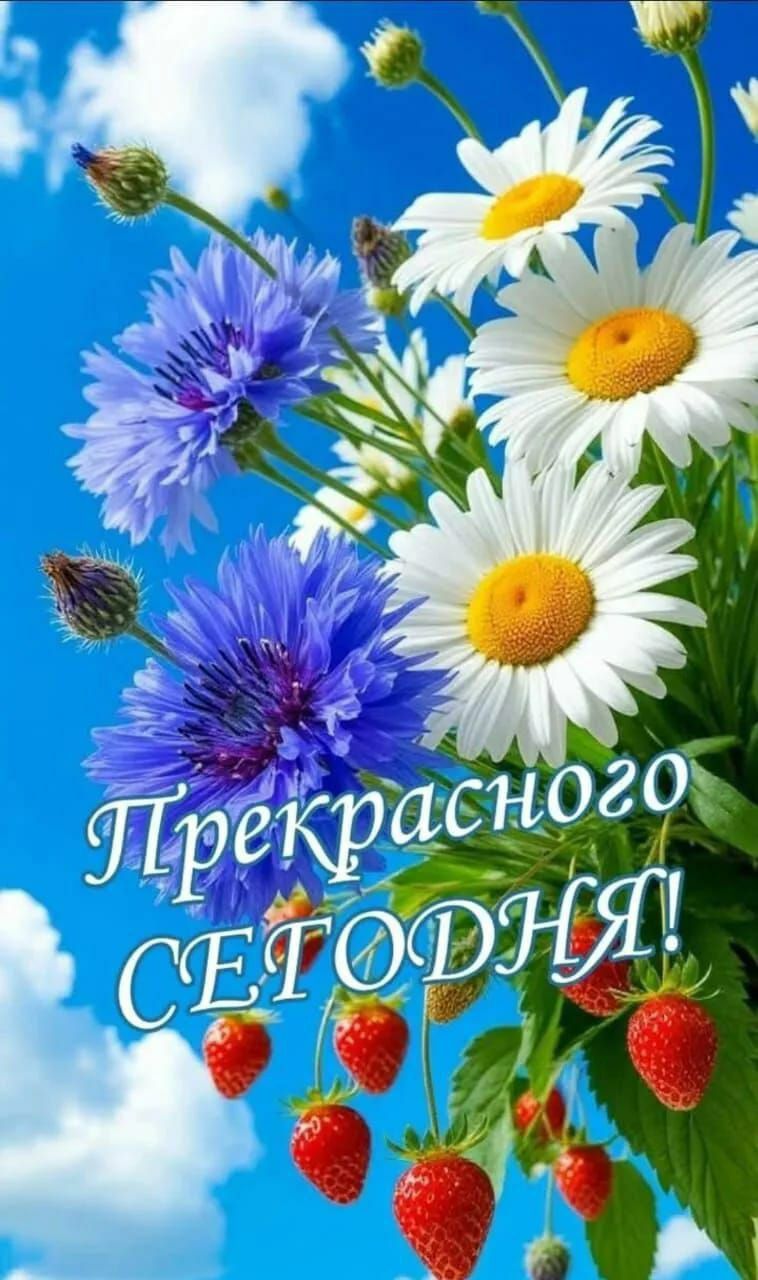 Прекрасного СЕГОДНЯ!