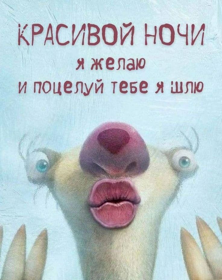 КРАСИВОЙ НОЧИ я желаю и поцелуй тебе я шлю