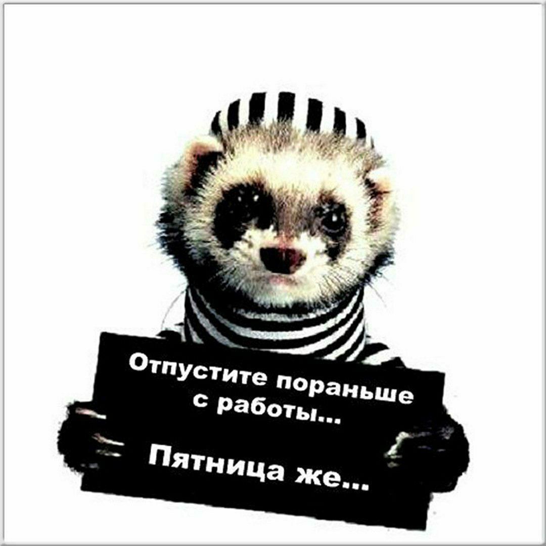 Отпустите пораньше с работы...
Пятница же...