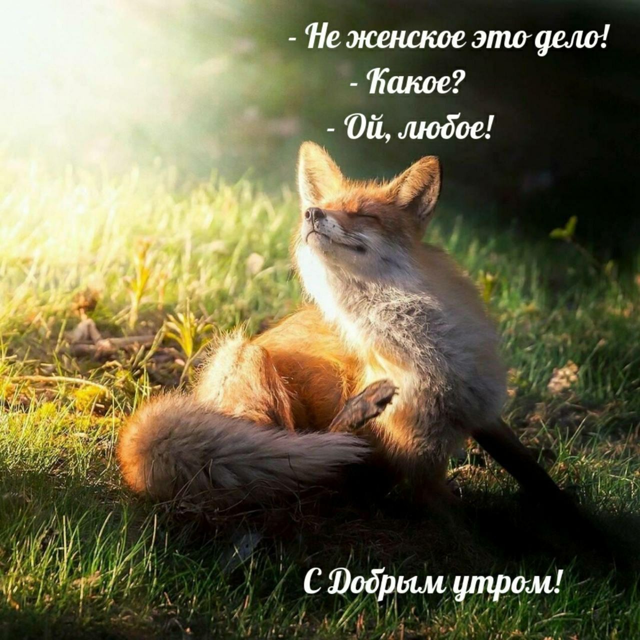 - Не женское это дело!
- Какое?
- Ой, любоe!
С Добрым утром!