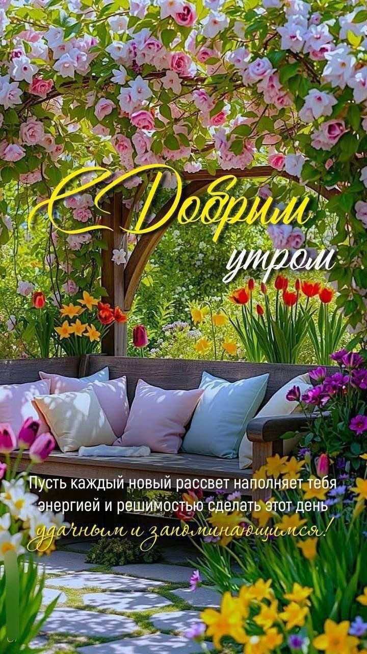 Добрым утром
Пусть каждый новый рассвет наполняет тебя энергией и решимостью сделать этот день
удачным и запоминающимся!