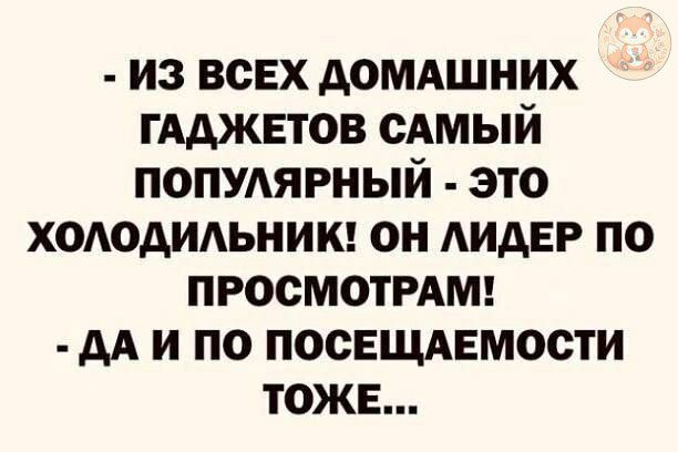- ИЗ ВСЕХ ДОМАШНИХ ГАДЖЕТОВ САМЫЙ ПОПУЛЯРНЫЙ - ЭТО ХОЛОДИЛЬНИК! ОН ЛИДЕР ПО ПРОСМОТРАМ! - ДА И ПО ПОСЕЩАЕМОСТИ ТЕЖ...
