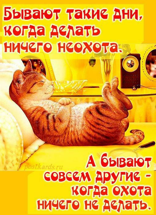 Бывают такие дни, когда делать ничего неохота.
А бывают совсем другие - когда охота ничего не делать.