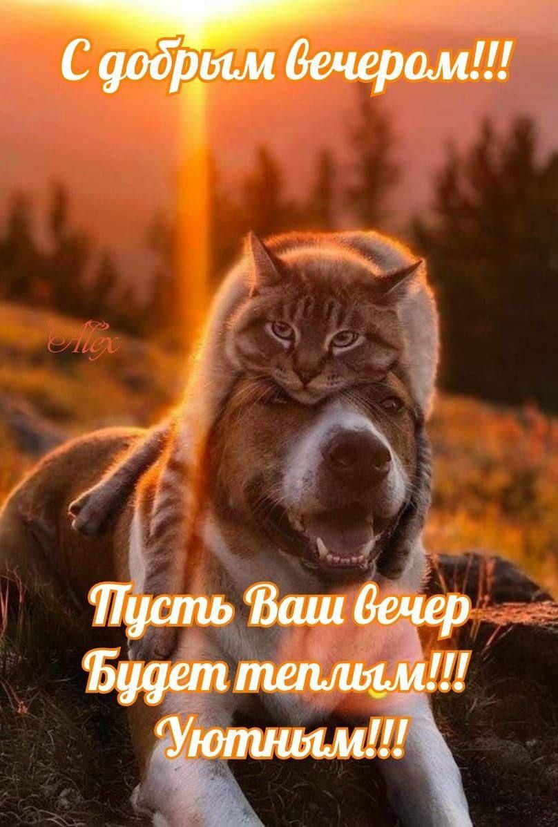 С добрым вечером!!!
Пусть Ваш вечер будет теплым!!! Уютным!!!