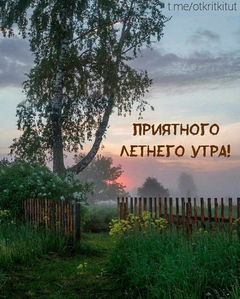 ПРИЯТНОГО ЛЕТНЕГО УТРА!