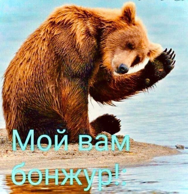 Мой вам бонжур!