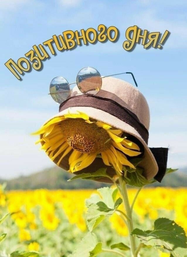 Позитивного дня!