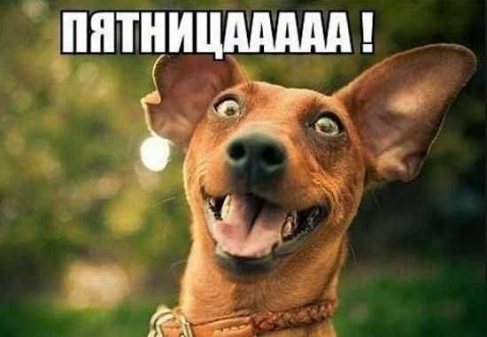 ПЯТНИЦAAAAA!