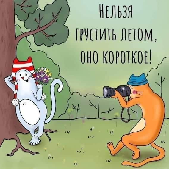 Нельзя грустить летом, оно короткое!