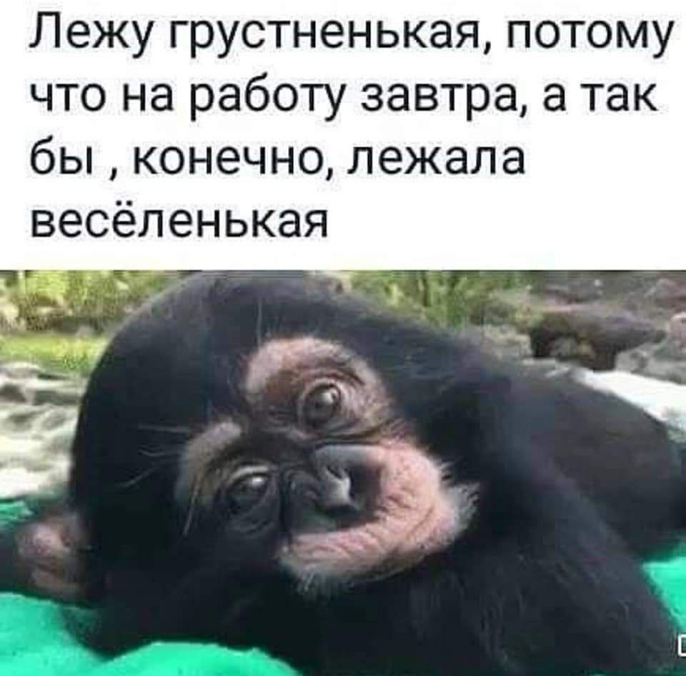 Лежу грустненькая, потому что на работу завтра, а так бы, конечно, лежала весёленькая