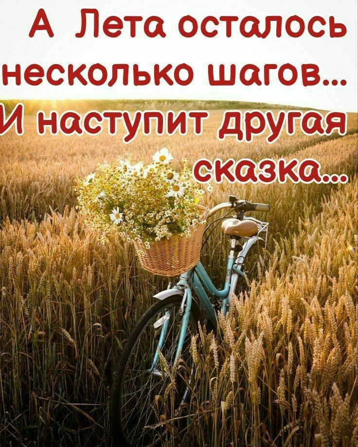 А Лета осталось несколько шагов... И наступит другая сказка...