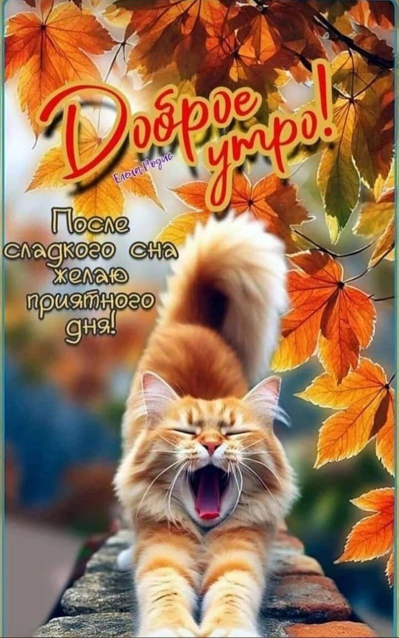 Доброе утро! После сладкого сна желаю приятного дня!