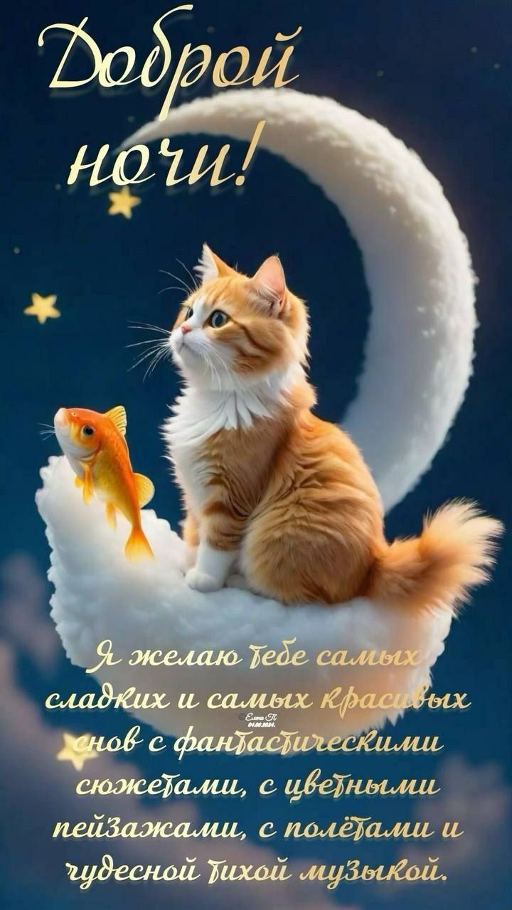 Доброй ночи!

Я желаю тебе самых сладких и самых красивых снов с фантастическими сюжетом, с цветными пейзажами, с полями и чудесной тихой музыкой.