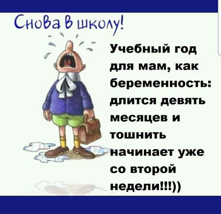 Снова в школу!
Учебный год для мам, как беременность: длится девять месяцев и тошнить начинает уже со второй недели!!!!)