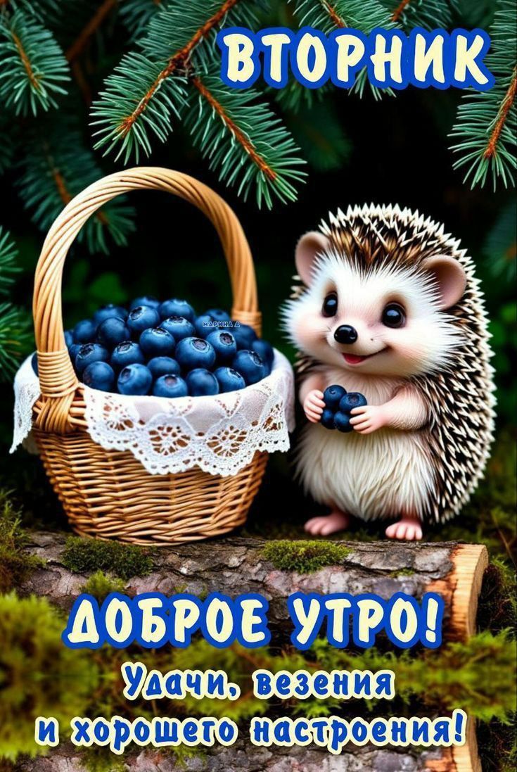 ВТОРНИК
ДОБРОЕ УТРО!
Удачи,vezjenja и хорошего настроения!